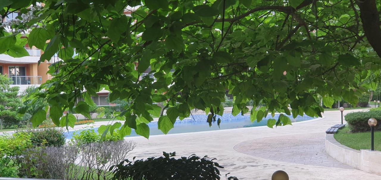 Apartament Vp Peter House Słoneczny Brzeg Zewnętrze zdjęcie